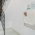 아파트 Cervantes Homes No1 콘일데라프론테라